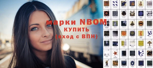 хмурый Алексин