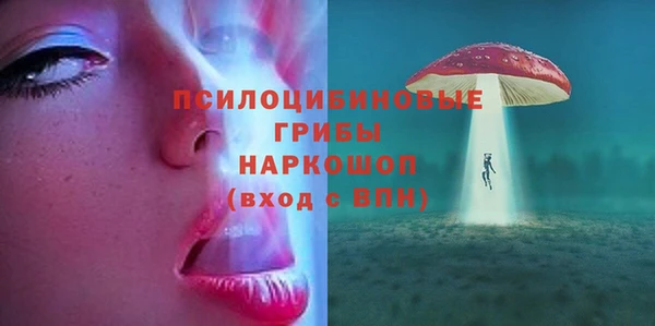 хмурый Алексин