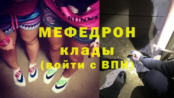 хмурый Алексин