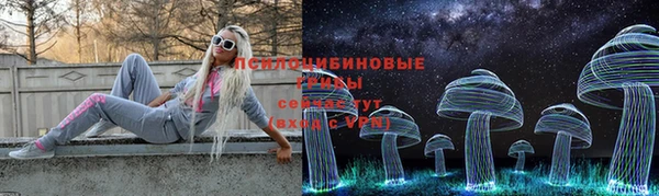 хмурый Алексин