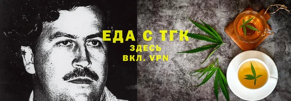 хмурый Алексин