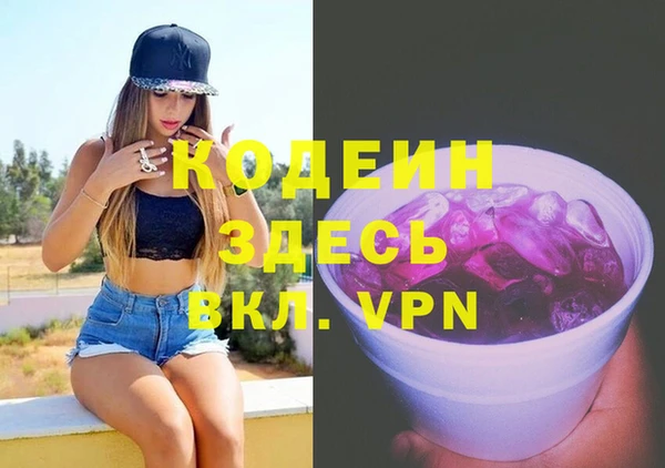 хмурый Алексин