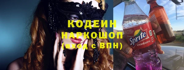 хмурый Алексин
